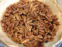 Pecans cover chocolate - YUM