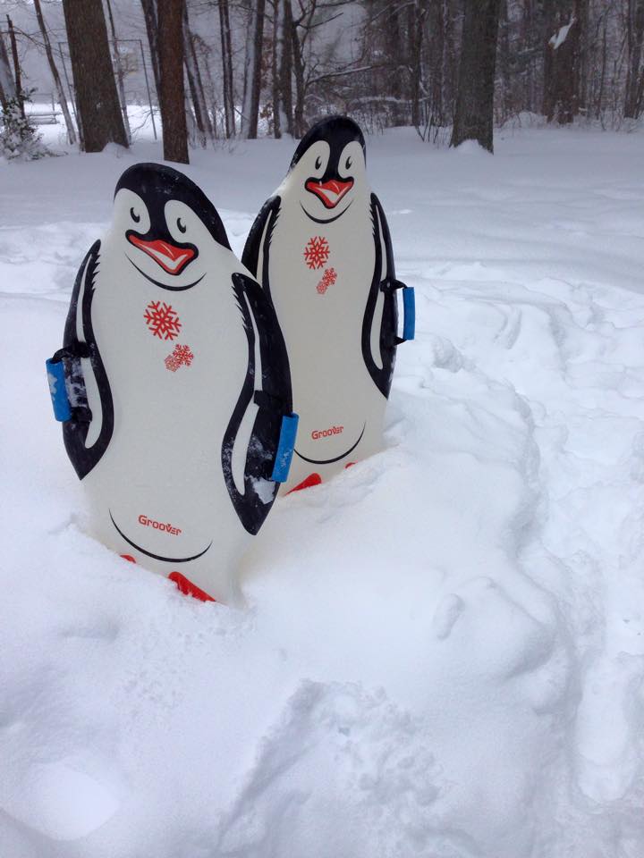 Penguin sleds in too much snow